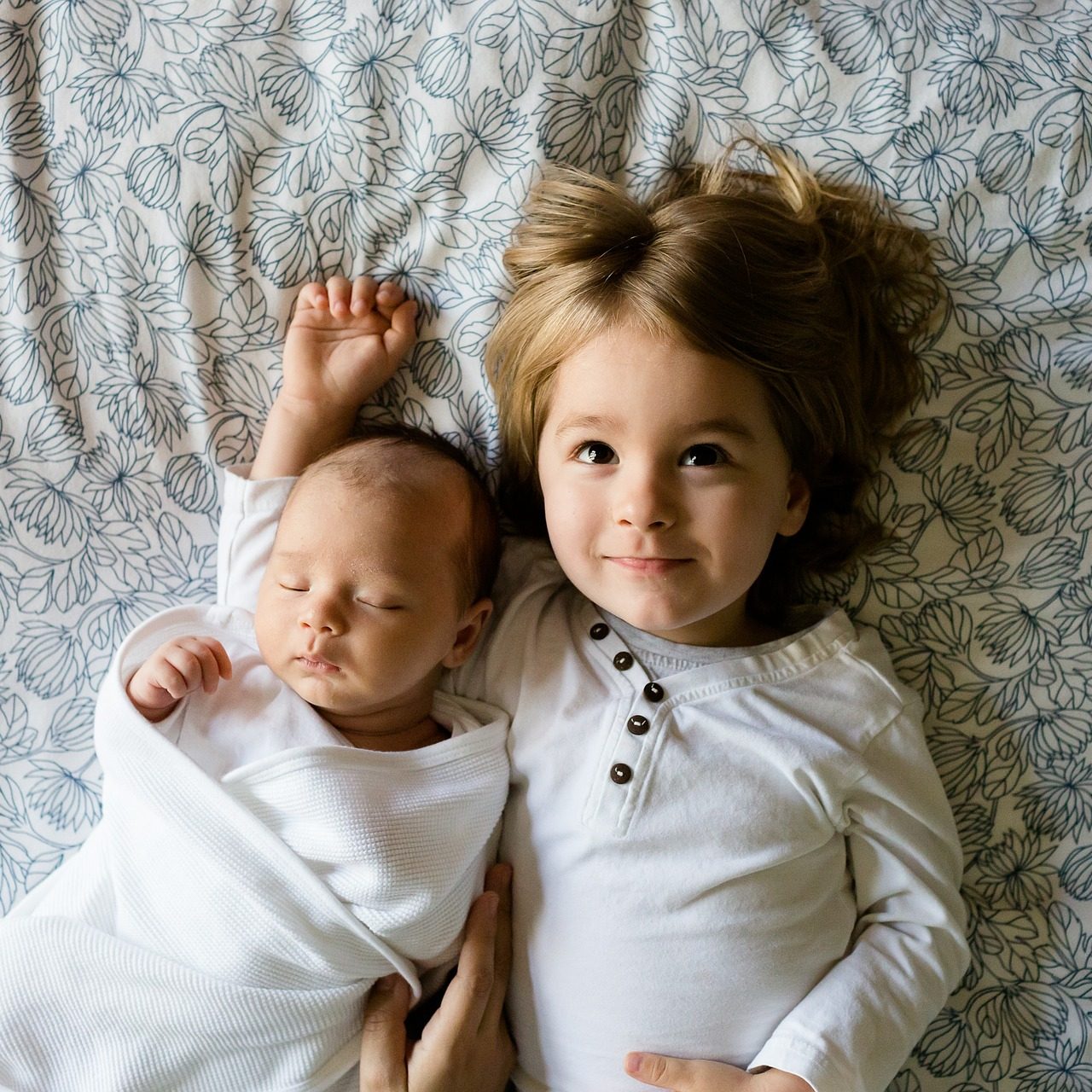 brothers-457237_1920 brothers-457237_1920